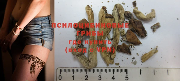 прущий лед Дмитриев