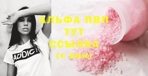 прущий лед Дмитриев