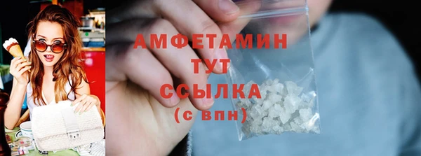 прущий лед Дмитриев